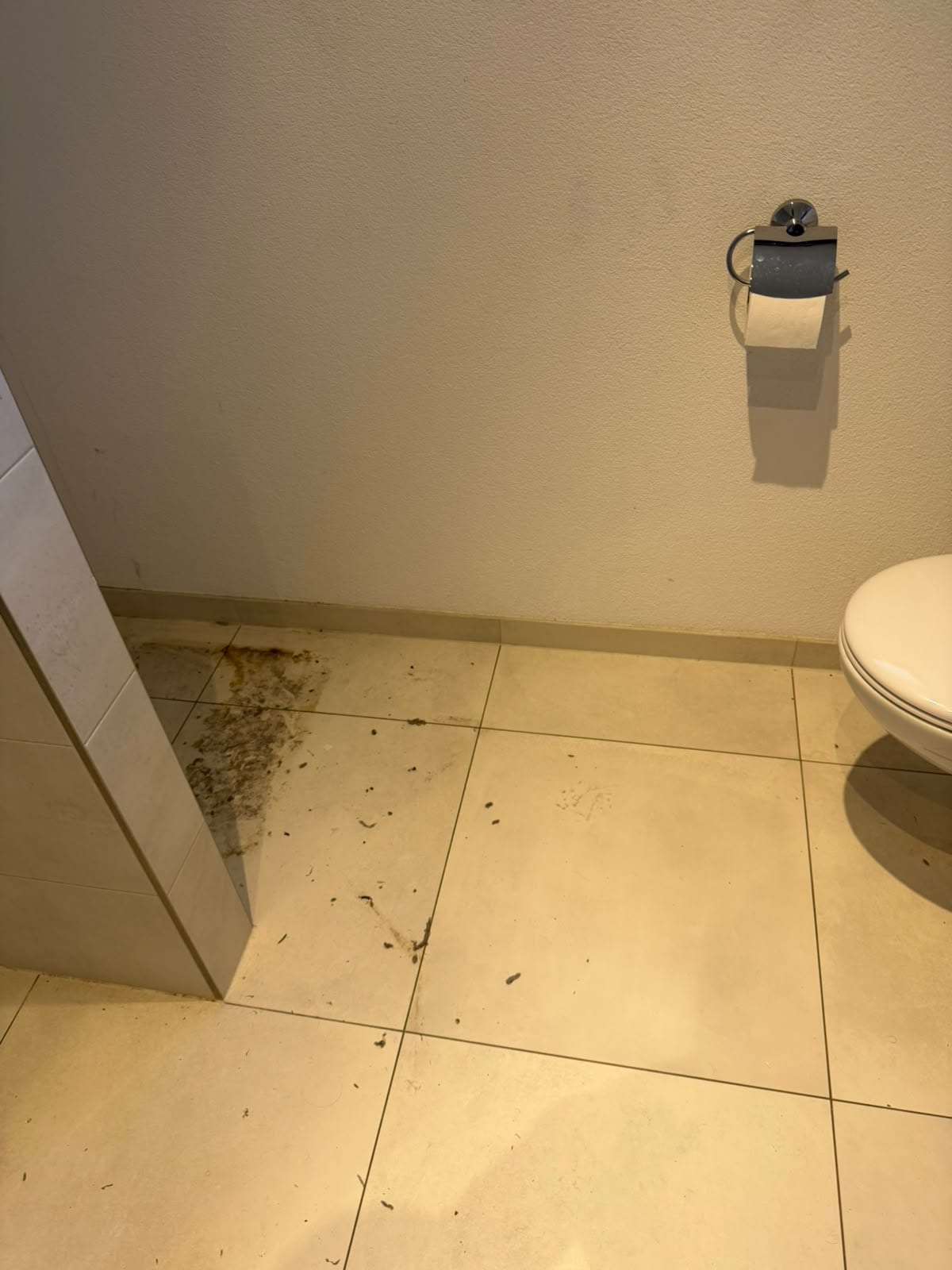 Vorher: Fliesenboden neben dem WC mit Haaren und Schmutz in der Ecke
