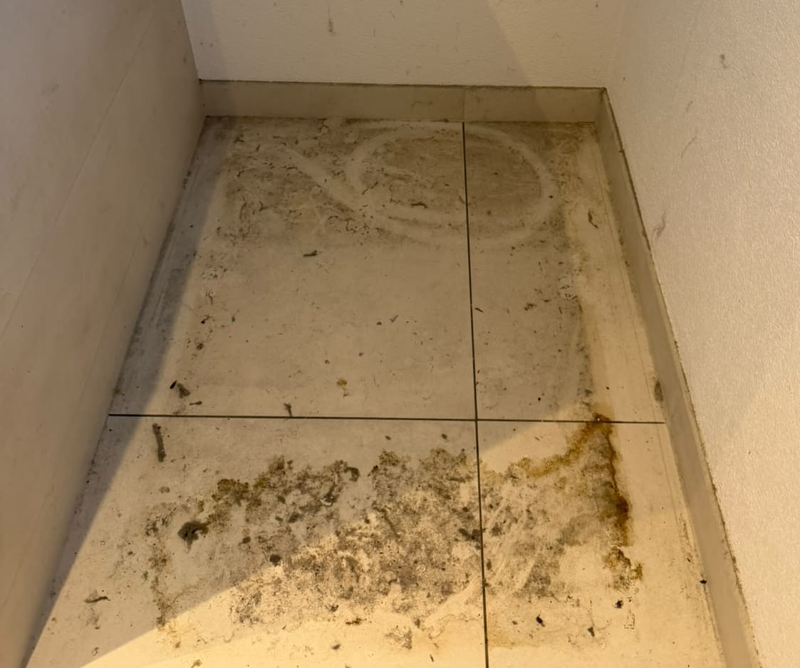 Vorher: Fliesenboden in einer Badecke voller Haare, Staub und eingetrockneter Flecken